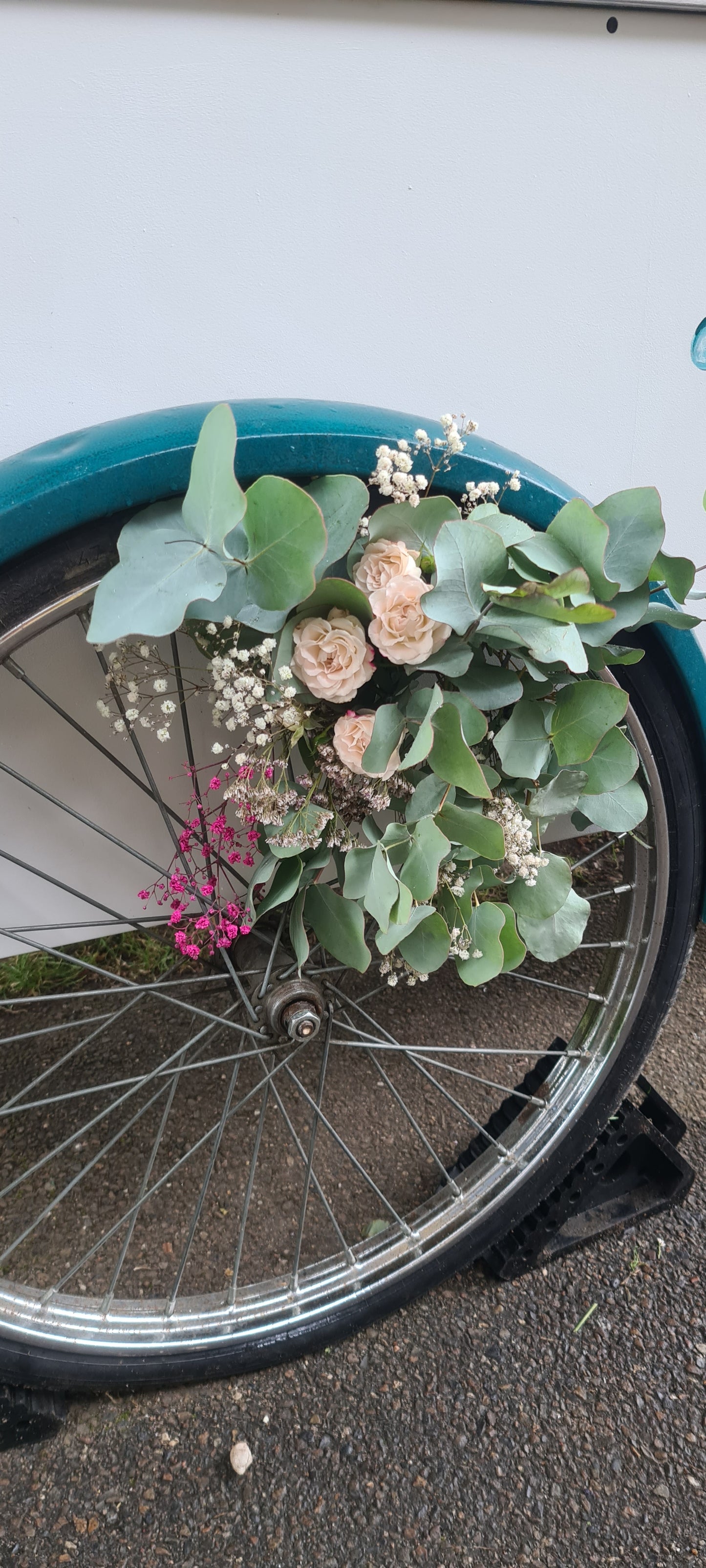 Eukalyptus Eiswagen / Speiseeiswagen Hamburg & Norden