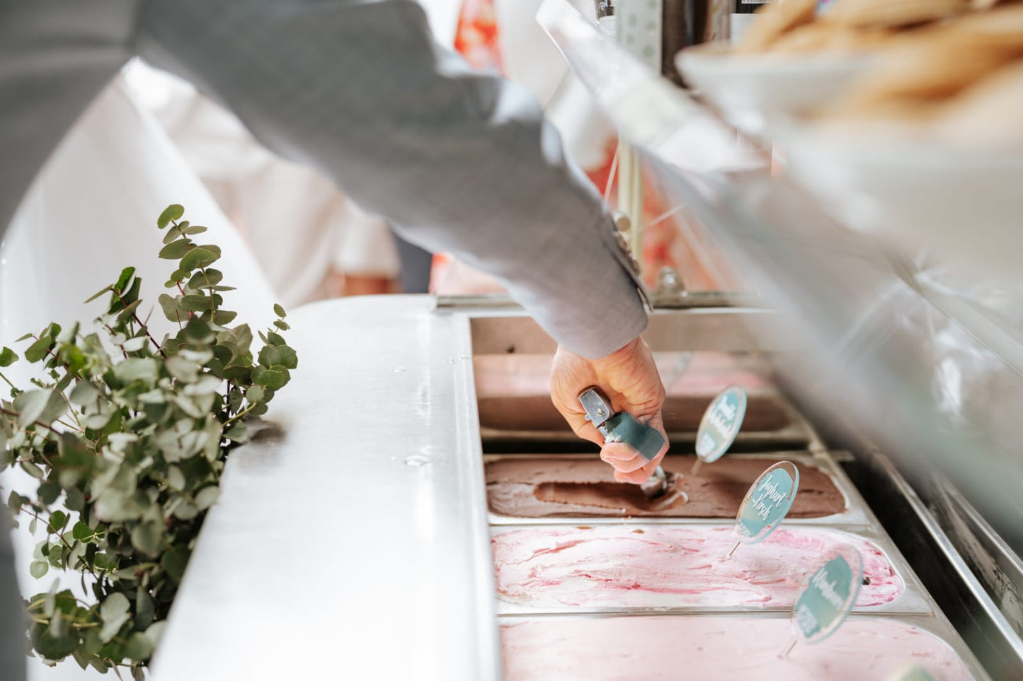 Eukalyptus Eiswagen / Speiseeiswagen Hamburg & Norden