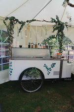 Bild in den Galerie-Viewer laden,Komplettpaket - Eukalyptus Eiswagen (Mieten, Eis, Customzubehör, deko)
